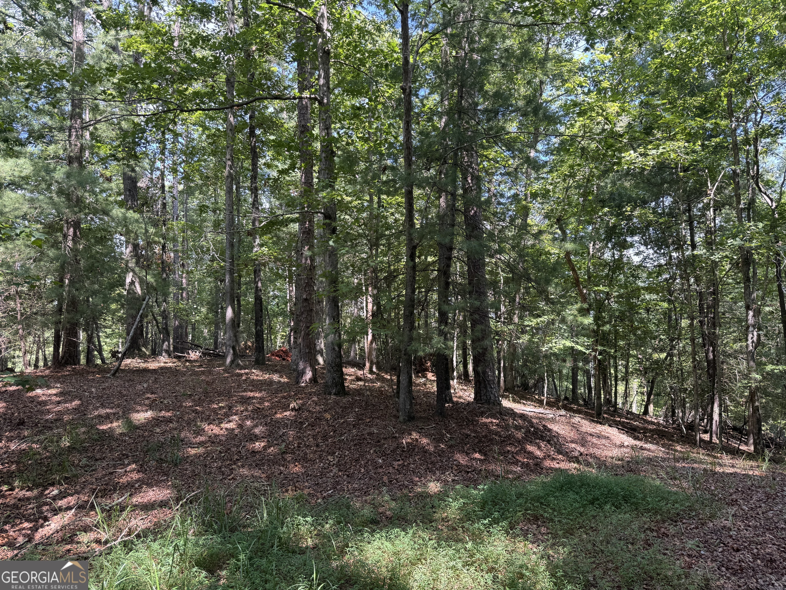0 Casa Rio Drive Cornelia, GA 30531 - Photo 5 of 28 a view of outdoor space with trees