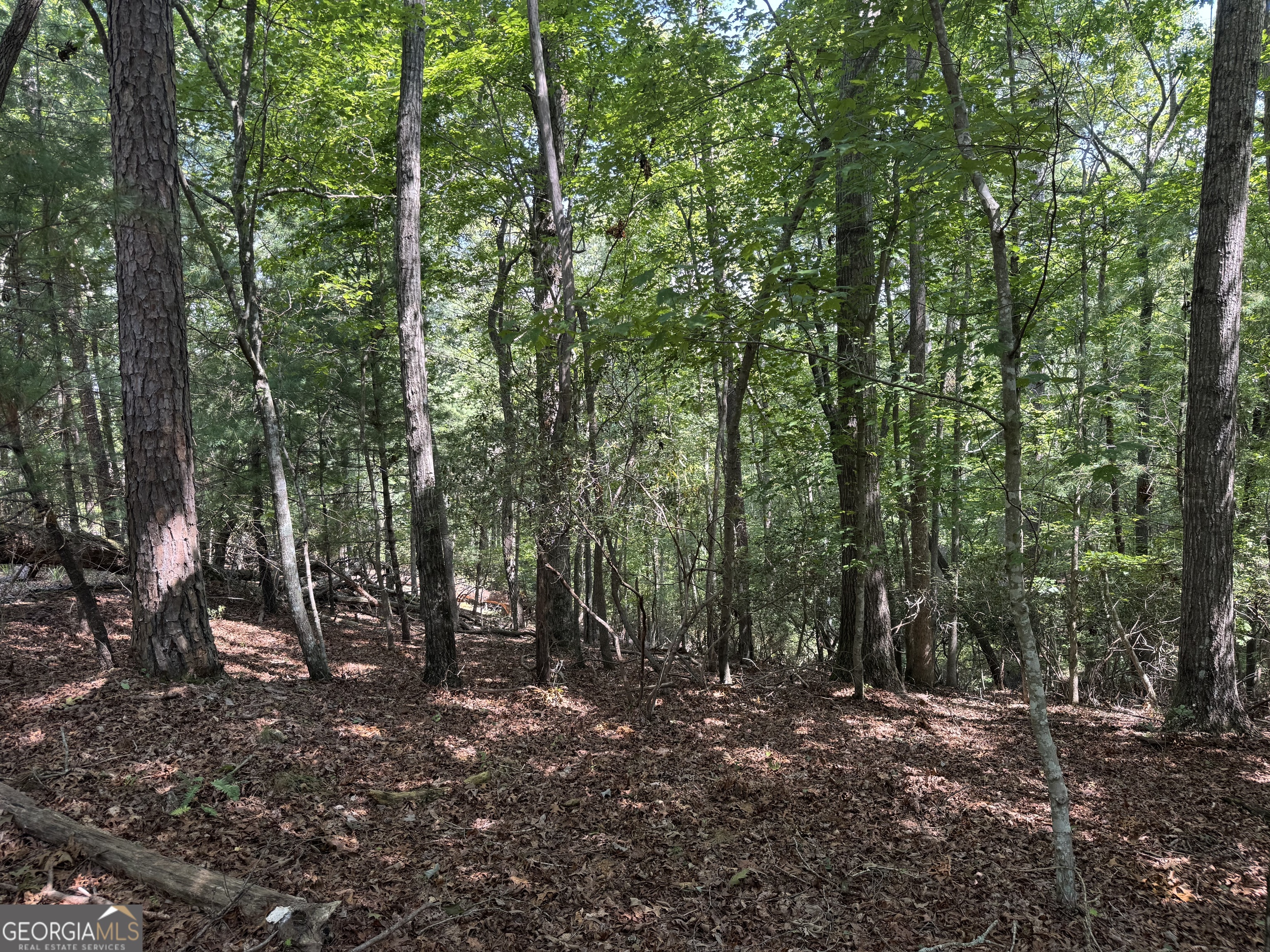 0 Casa Rio Drive Cornelia, GA 30531 - Photo 6 of 28 a view of outdoor space and trees