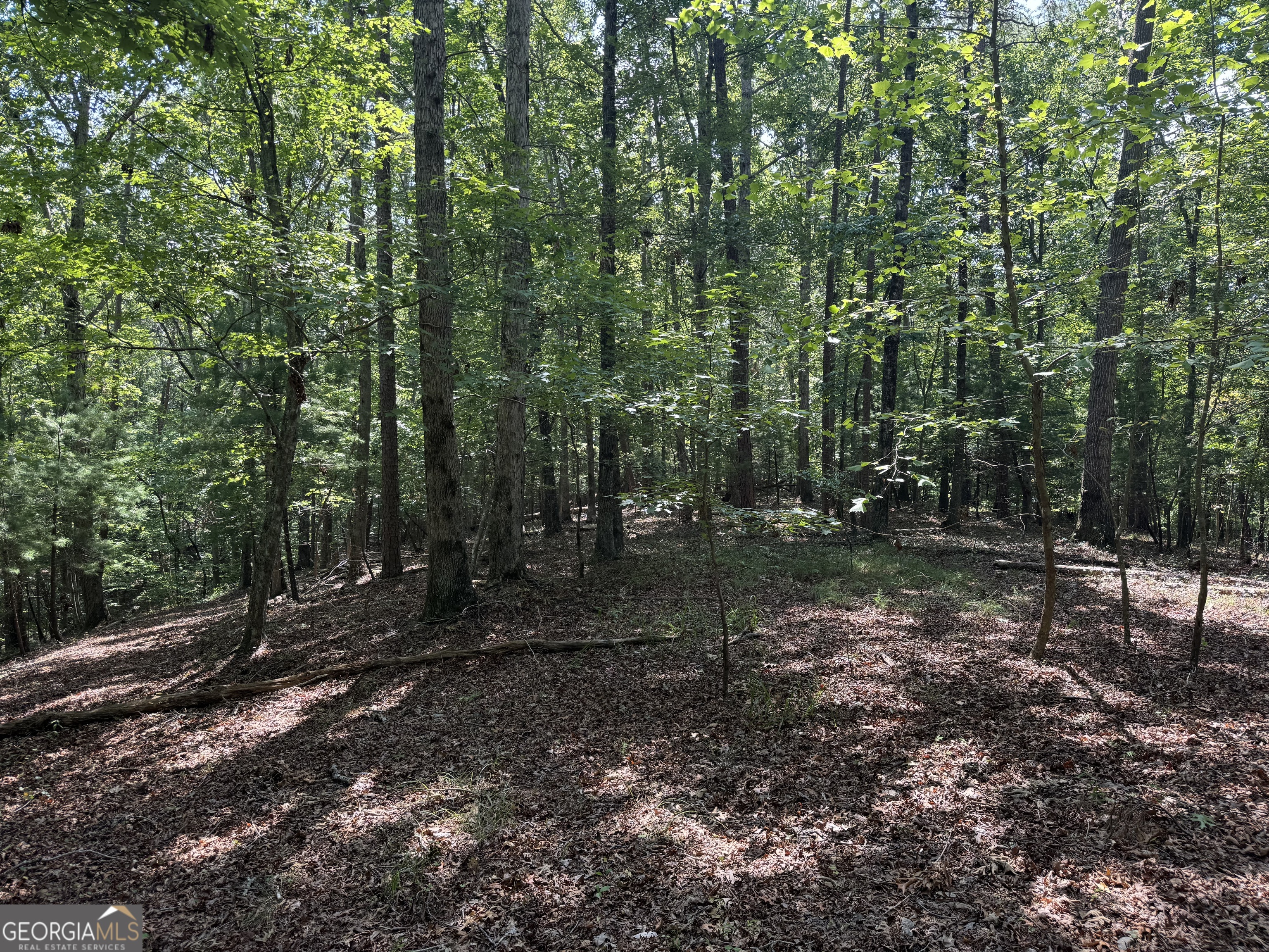 0 Casa Rio Drive Cornelia, GA 30531 - Photo 7 of 28 a view of a forest with trees in the background
