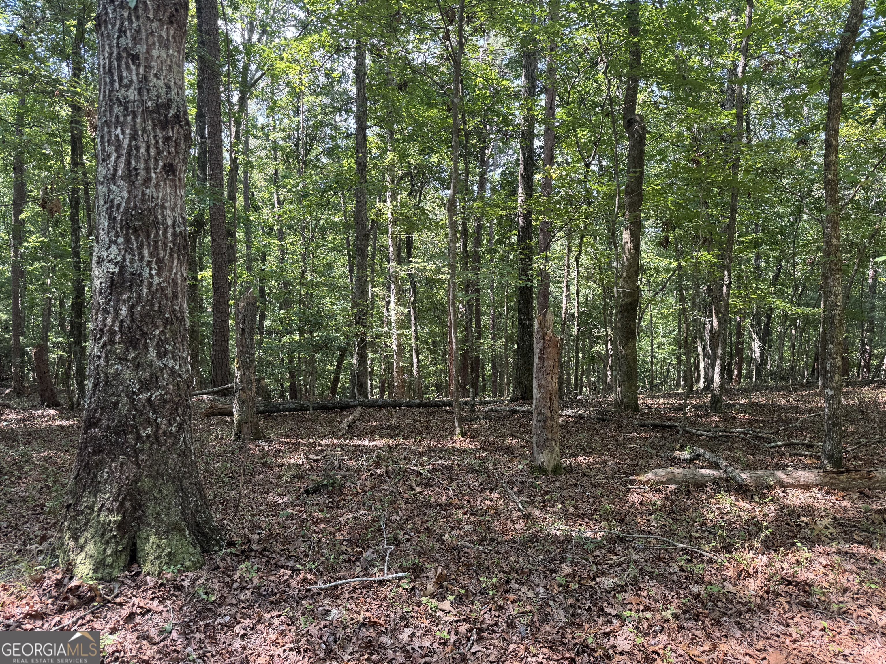 0 Casa Rio Drive Cornelia, GA 30531 - Photo 8 of 28 a view of a forest with trees in the background