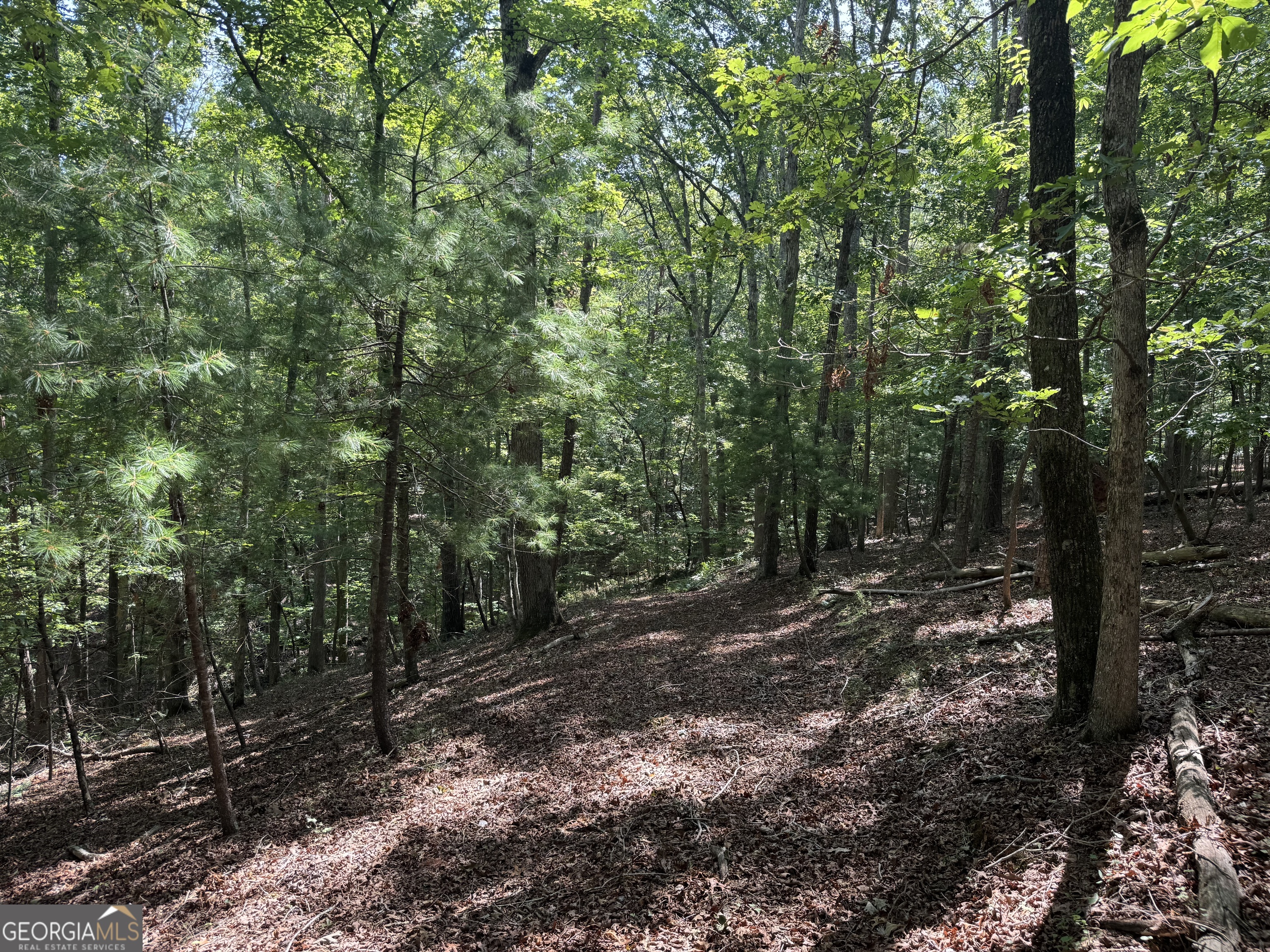 0 Casa Rio Drive Cornelia, GA 30531 - Photo 9 of 28 a view of a forest with trees in the background