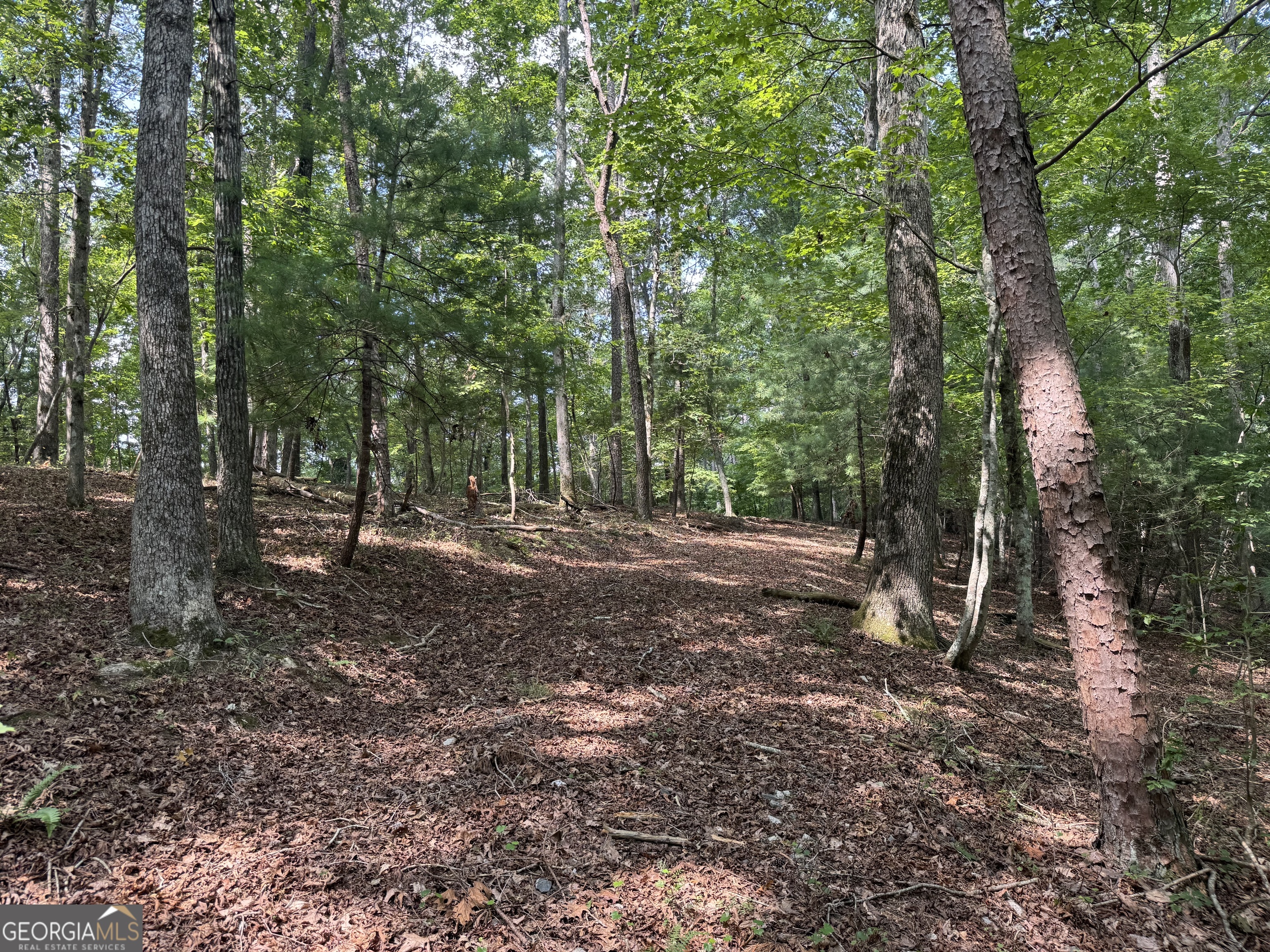 0 Casa Rio Drive Cornelia, GA 30531 - Photo 10 of 28 a view of a forest with trees in the background