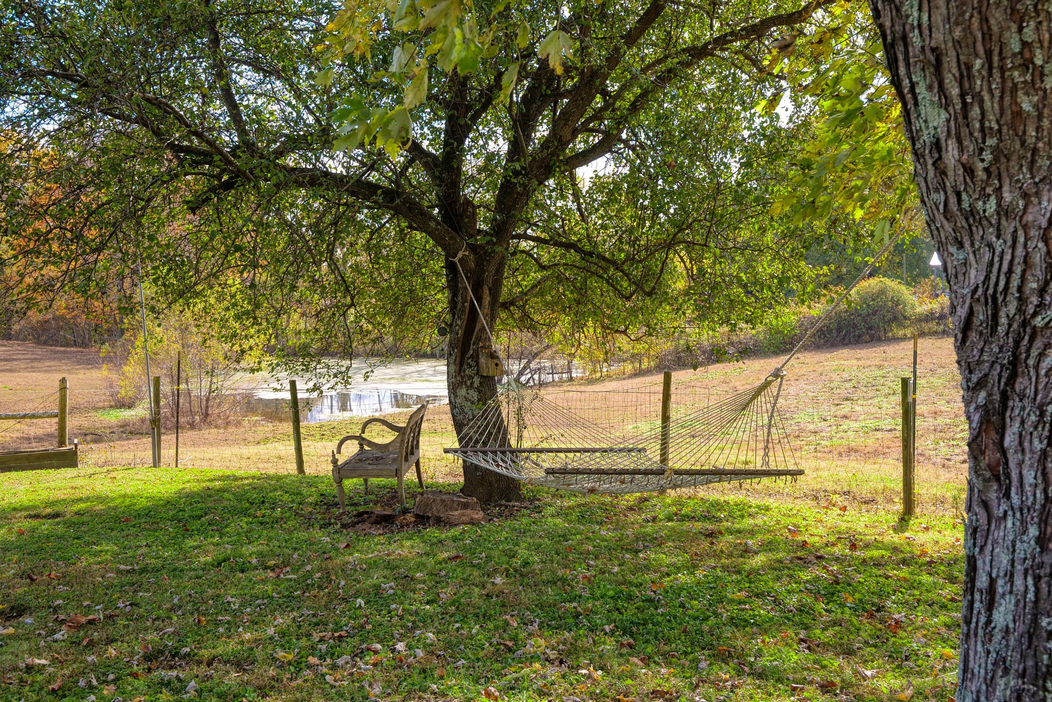 175 Bettis Road Lebanon, TN 37090 - Photo 31 of 49