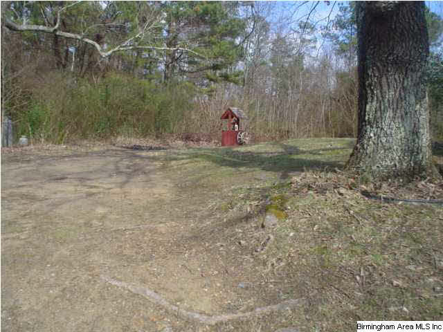 4625 Highway 24 Springville Al Springville, AL 35146 - Photo 22 of 29