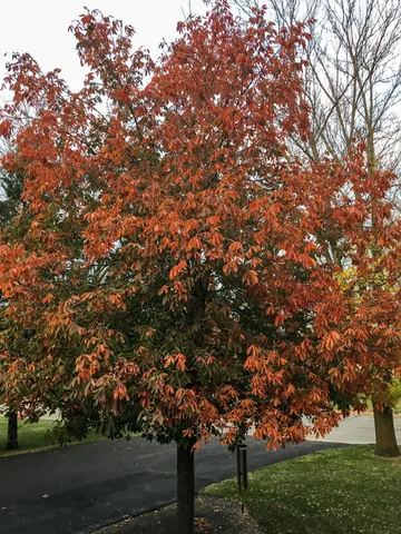 $252,500 | 109 Stephen Drive Northeast, Fertile, MN 56540