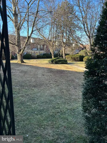 a view of swimming pool with tree in front of it