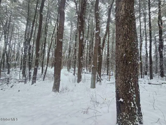 $56,900 | L10 Rouse Road, Fort Plain, NY 13339