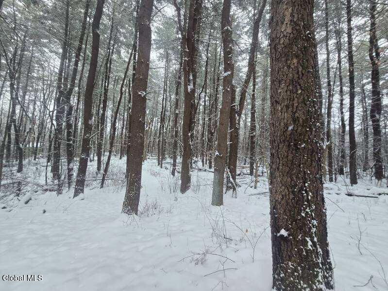 L10 Rouse Road Fort Plain, NY 13339 - Photo 11 of 22 image000005 (1)