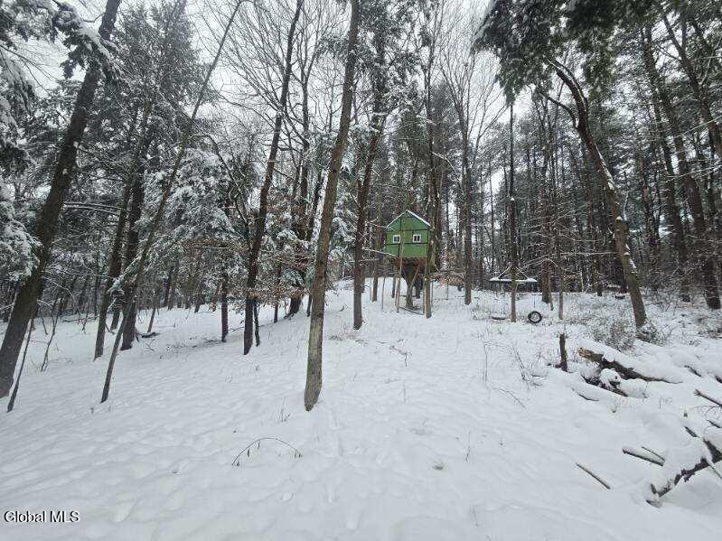 L10 Rouse Road Fort Plain, NY 13339 - Photo 12 of 22 image000008 (1)