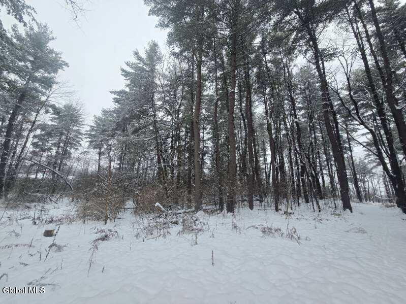 L10 Rouse Road Fort Plain, NY 13339 - Photo 13 of 22 image000002