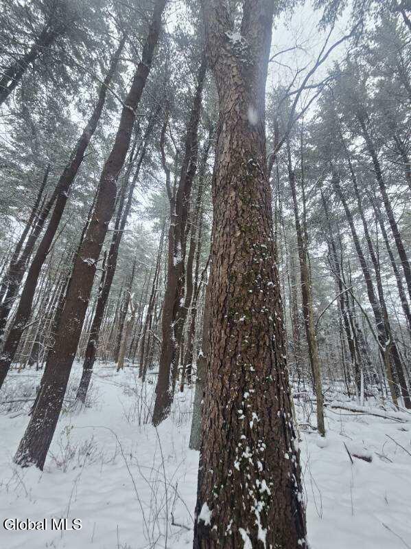 L10 Rouse Road Fort Plain, NY 13339 - Photo 14 of 22 image000006 (1)