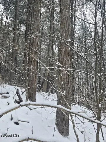 $56,900 | L10 Rouse Road, Fort Plain, NY 13339