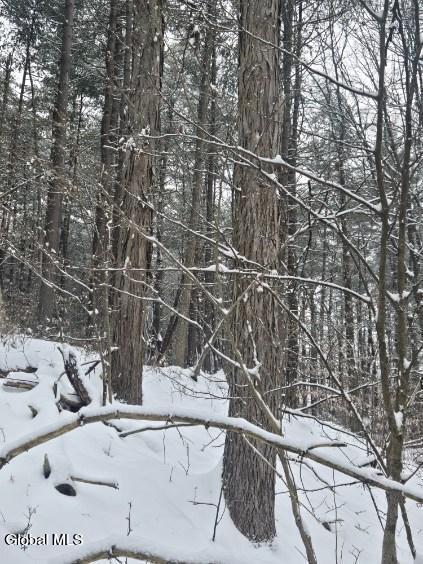 L10 Rouse Road Fort Plain, NY 13339 - Photo 15 of 22 image000007 (1)