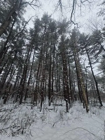 $56,900 | L10 Rouse Road, Fort Plain, NY 13339