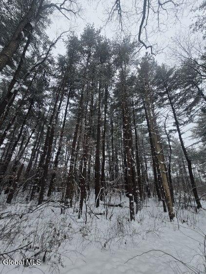 L10 Rouse Road Fort Plain, NY 13339 - Photo 16 of 22 image000004