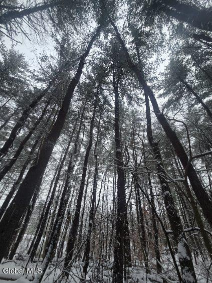 L10 Rouse Road Fort Plain, NY 13339 - Photo 17 of 22 image000006