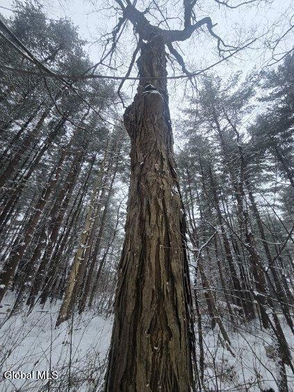 L10 Rouse Road Fort Plain, NY 13339 - Photo 18 of 22 image000005