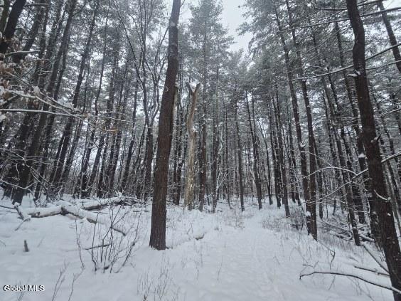 L10 Rouse Road Fort Plain, NY 13339 - Photo 19 of 22 image000007