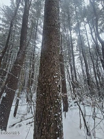 $56,900 | L10 Rouse Road, Fort Plain, NY 13339