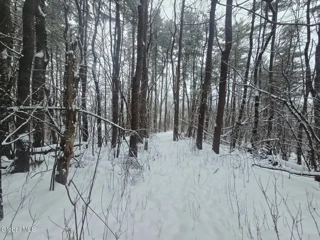 $56,900 | L10 Rouse Road, Fort Plain, NY 13339