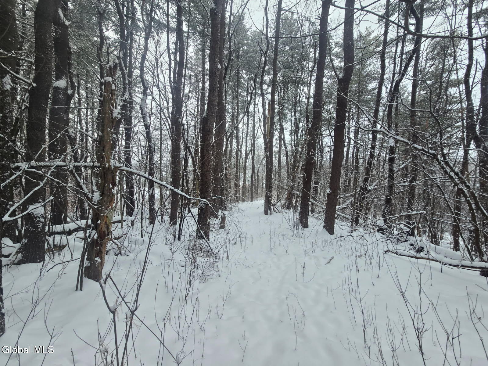 L10 Rouse Road Fort Plain, NY 13339 - Photo 2 of 22 image000000 (5)