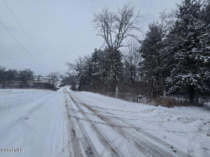 L10 Rouse Road Fort Plain, NY 13339 - Photo 21 of 22 image000000 (20)