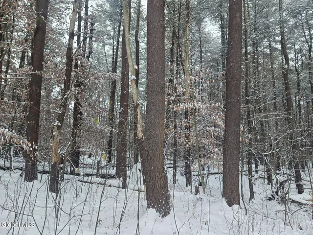 $56,900 | L10 Rouse Road, Fort Plain, NY 13339