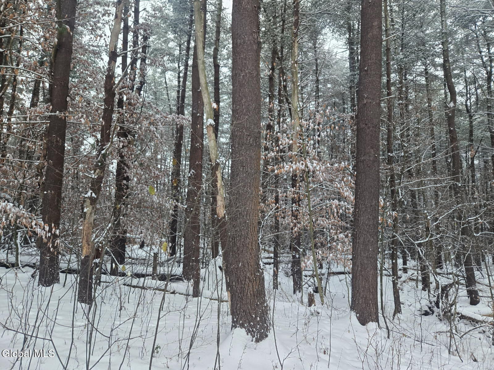 L10 Rouse Road Fort Plain, NY 13339 - Photo 3 of 22 image000000 (6)