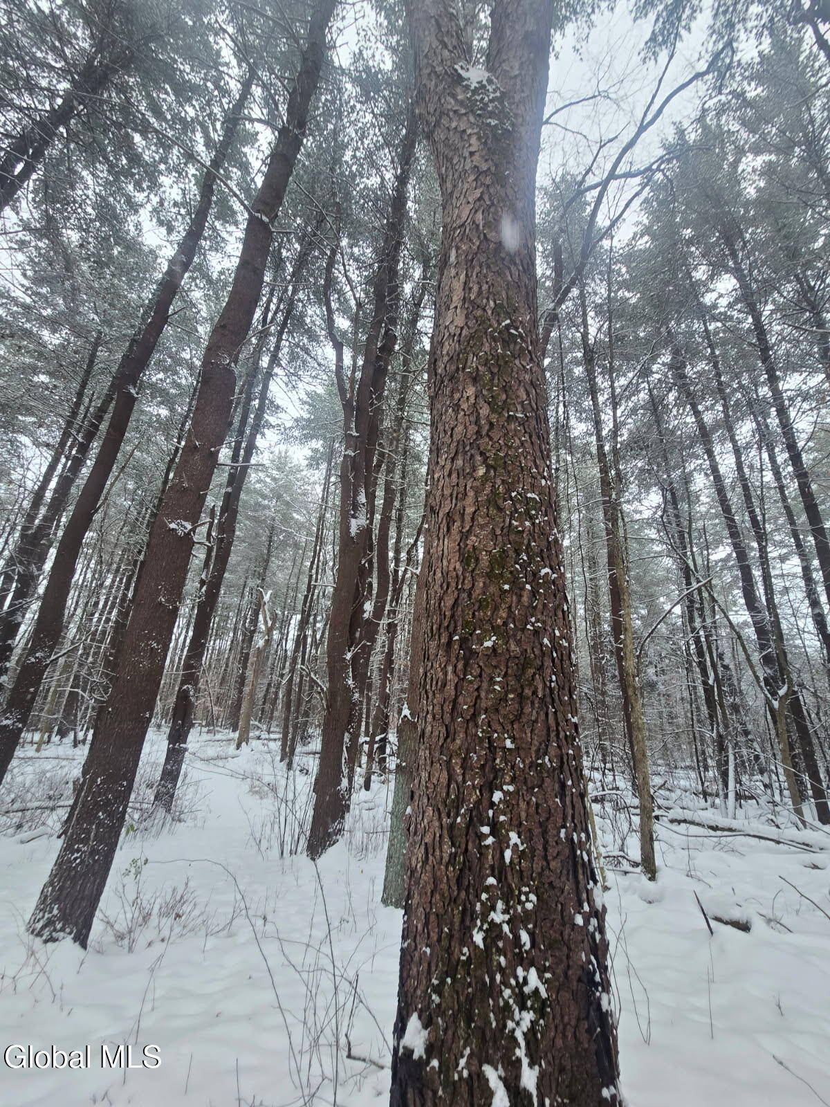 L10 Rouse Road Fort Plain, NY 13339 - Photo 4 of 22 image000000 (3)