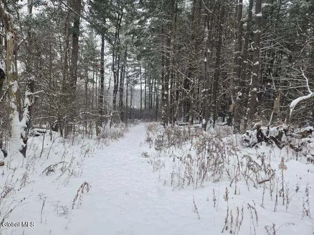 $56,900 | L10 Rouse Road, Fort Plain, NY 13339