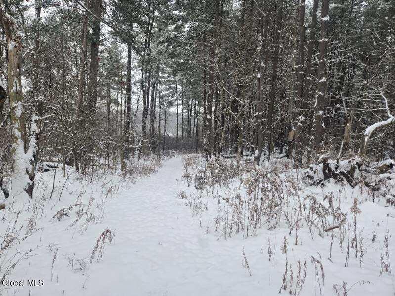 L10 Rouse Road Fort Plain, NY 13339 - Photo 5 of 22 image000000 (21)