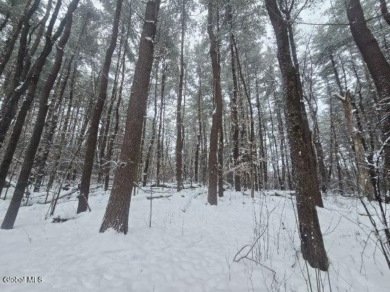 L10 Rouse Road Fort Plain, NY 13339 - Photo 6 of 22 image000009