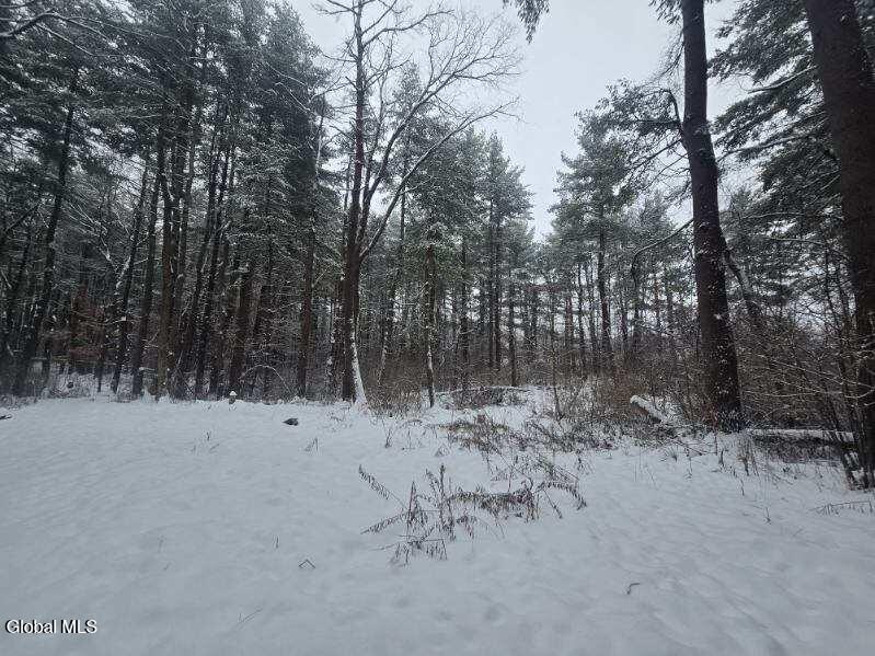 L10 Rouse Road Fort Plain, NY 13339 - Photo 7 of 22 image000003