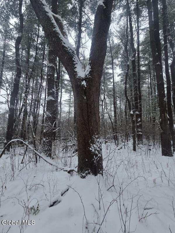 L10 Rouse Road Fort Plain, NY 13339 - Photo 8 of 22 image000002 (1)