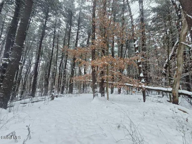 $56,900 | L10 Rouse Road, Fort Plain, NY 13339