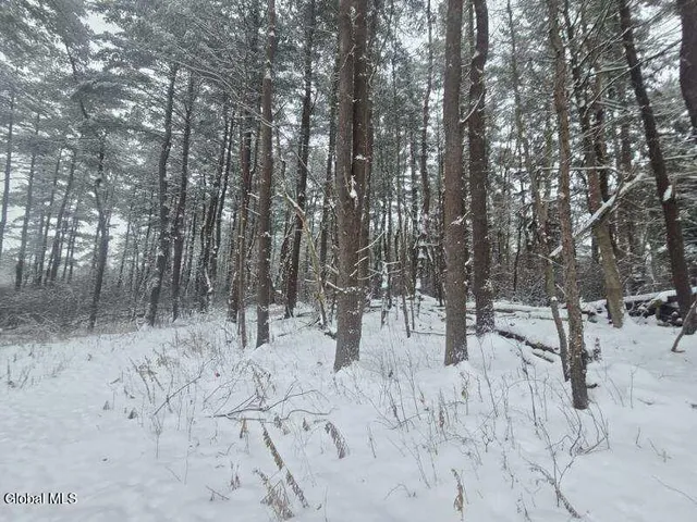 $56,900 | L10 Rouse Road, Fort Plain, NY 13339