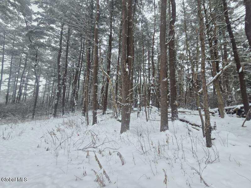 L10 Rouse Road Fort Plain, NY 13339 - Photo 10 of 22 image000001 (1)