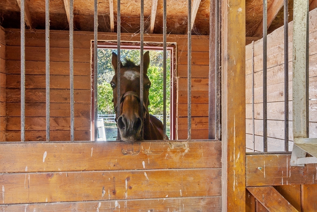 819 West Street Lunenburg, MA 01462 - Photo 12 of 42 a view of front door