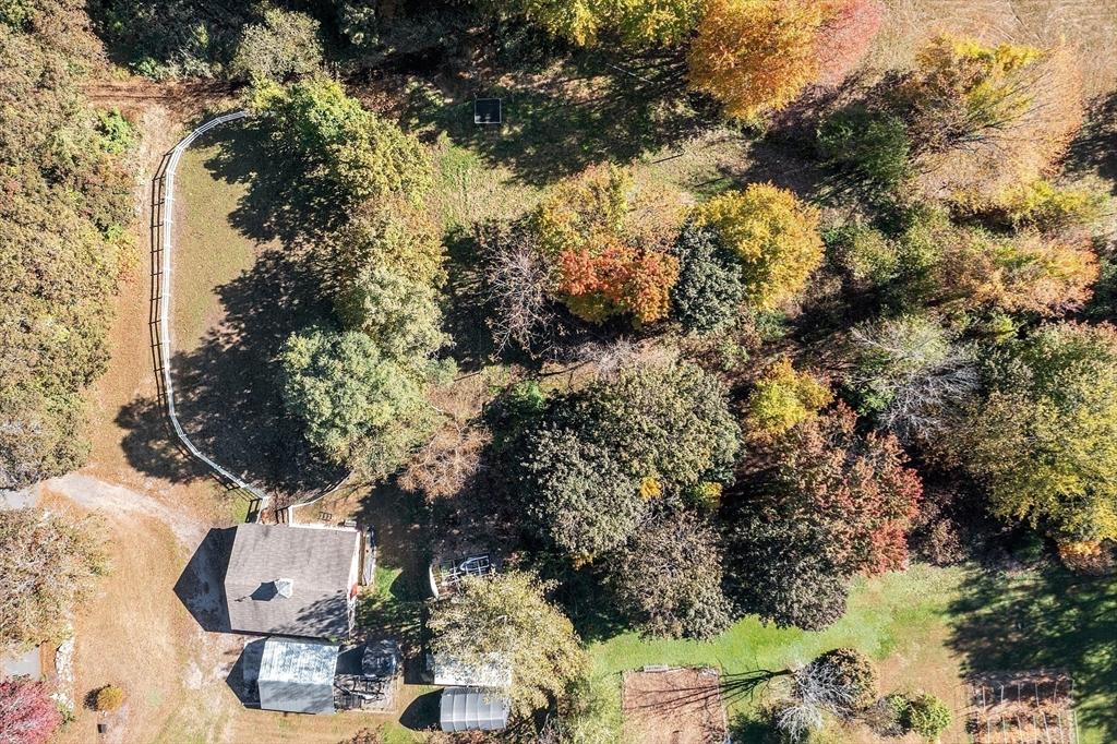 819 West Street Lunenburg, MA 01462 - Photo 6 of 42 a view of outdoor space and garden