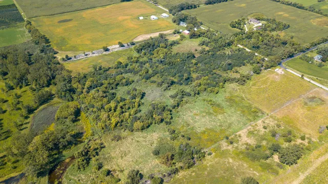 a view of a bunch of trees in a yard