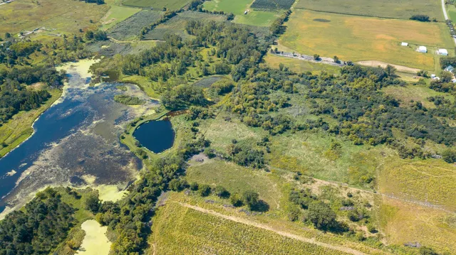 a view of a garden with a lake