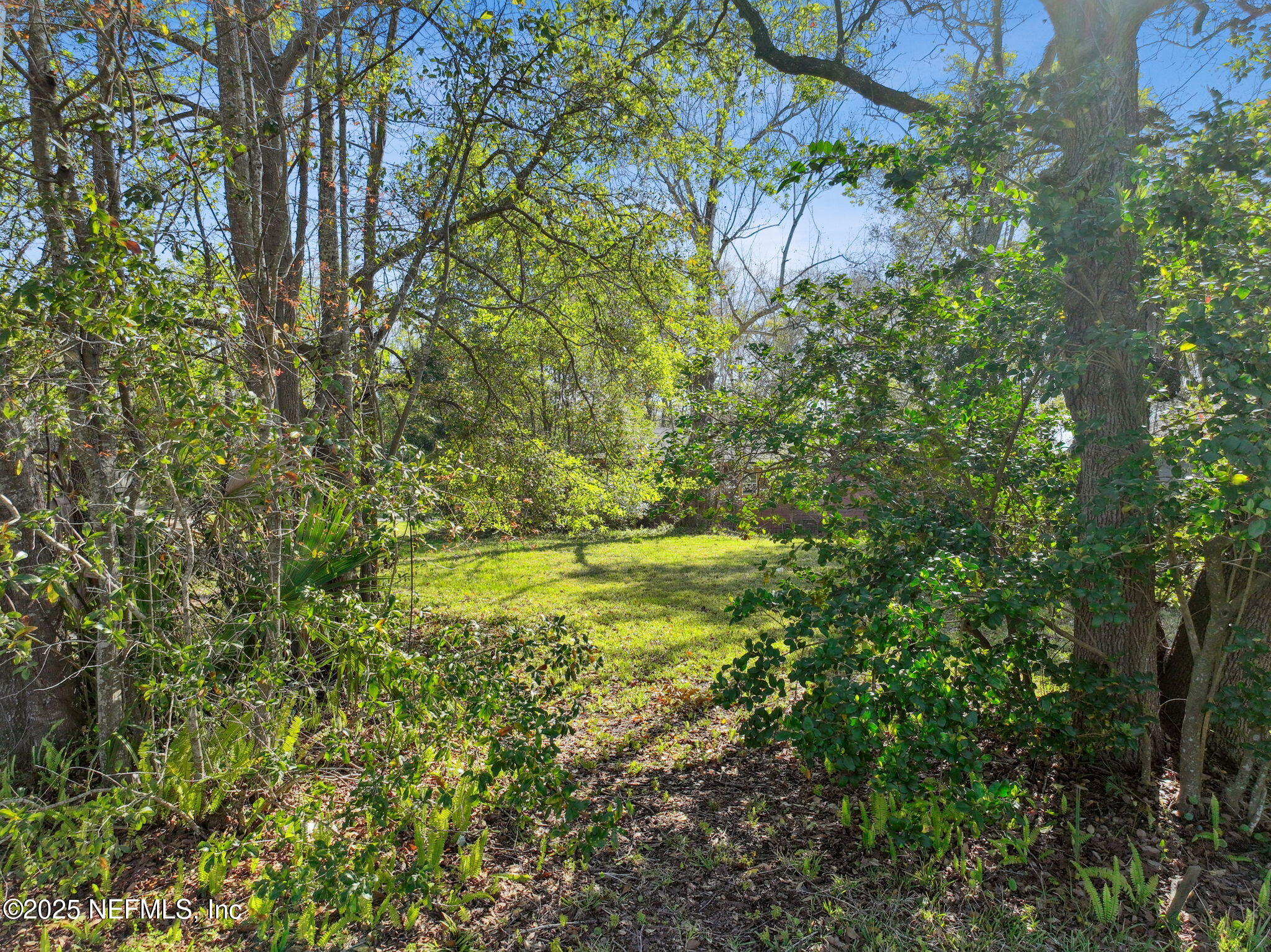 0 Line Street Jacksonville, FL 32209 - Photo 15 of 21 15-web-or-mls-1111 Line St-10
