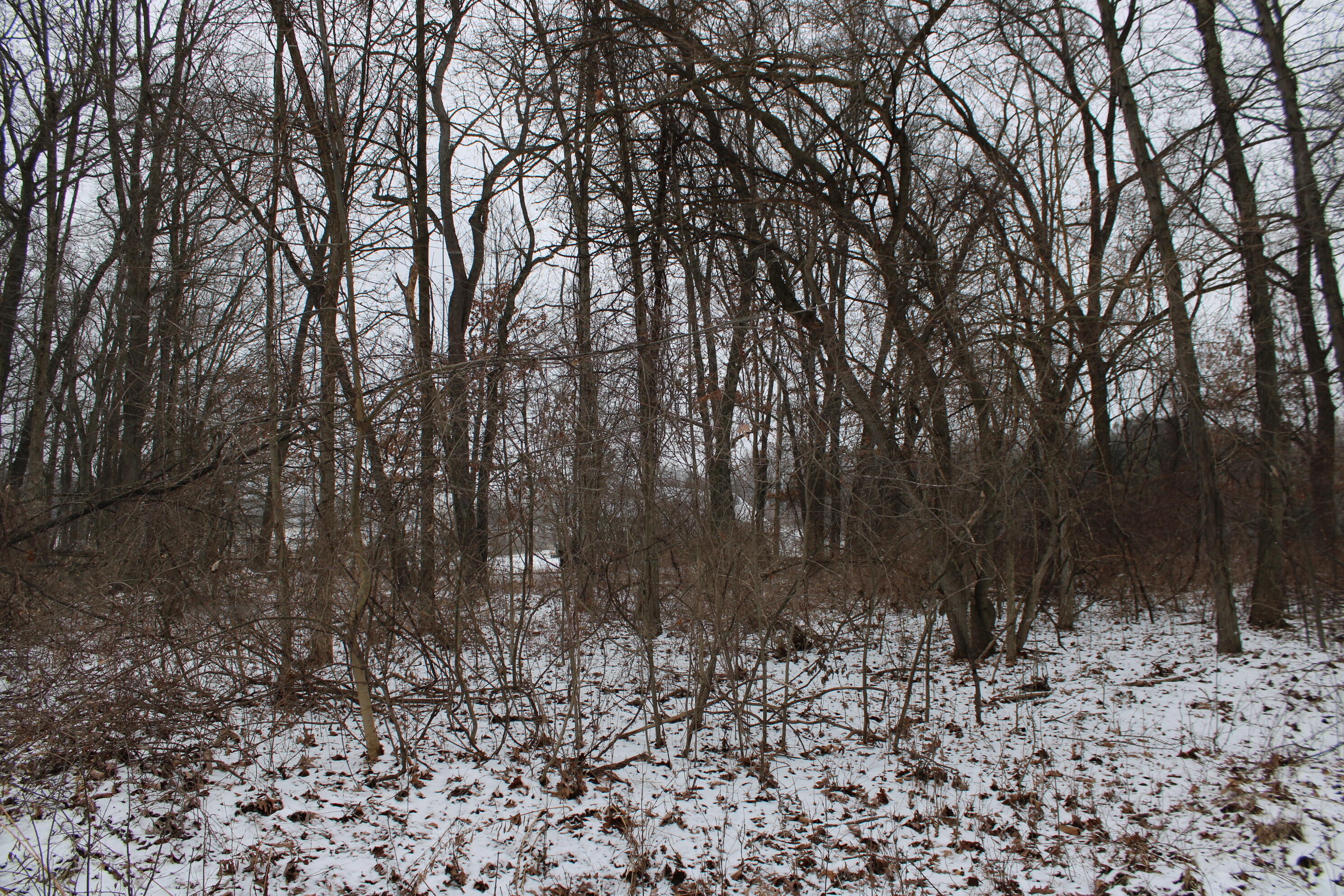 7998 4 Mile Road Northeast Ada, MI 49301 - Photo 2 of 6 IMG_0153