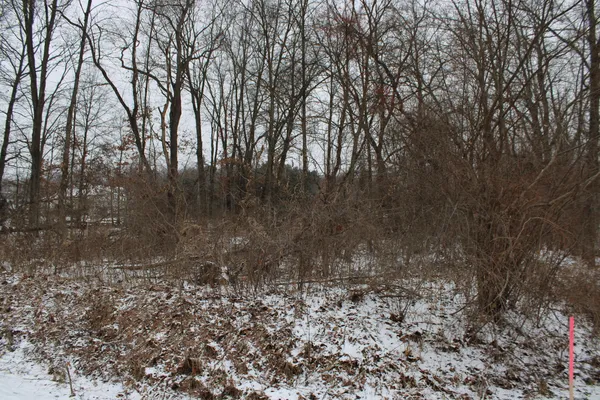 $91,000 | 7998 4 Mile Road Northeast, Ada, MI 49301