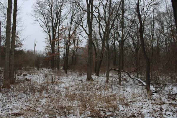 $91,000 | 7998 4 Mile Road Northeast, Ada, MI 49301