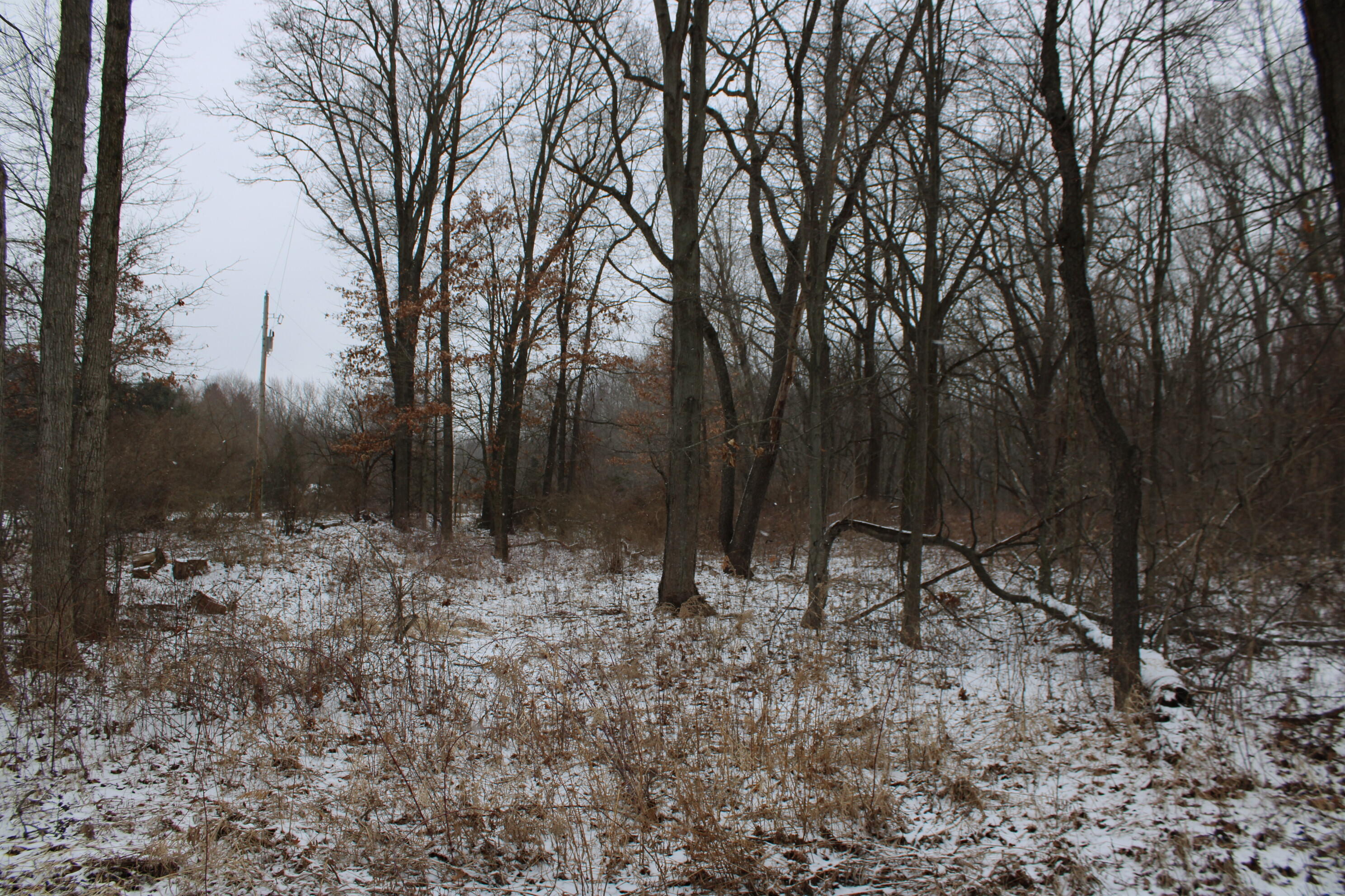 7998 4 Mile Road Northeast Ada, MI 49301 - Photo 4 of 6 IMG_0155