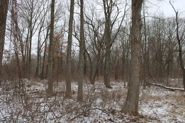 $91,000 | 7998 4 Mile Road Northeast, Ada, MI 49301