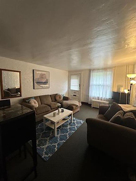 451-453 Philadelphia Street Indiana, PA 15701 - Photo 8 of 23 a living room with furniture and a window