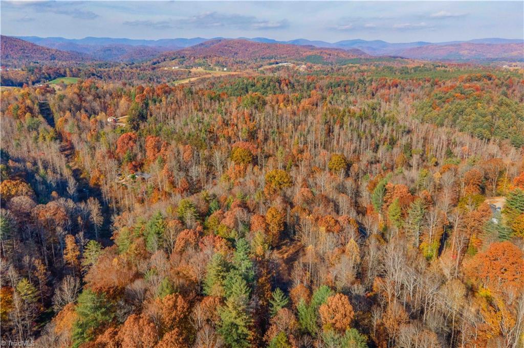 1165 Dehart Community Center Road Hays, NC 28635 - Photo 12 of 13