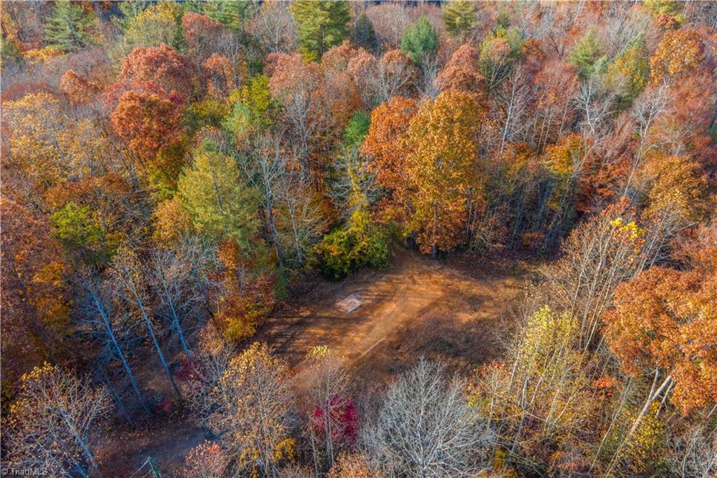 1165 Dehart Community Center Road Hays, NC 28635 - Photo 4 of 13